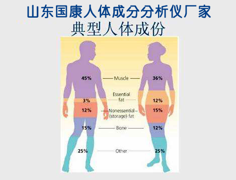 组成人体成分有哪些【山东绿巨人视频污版app最新版】