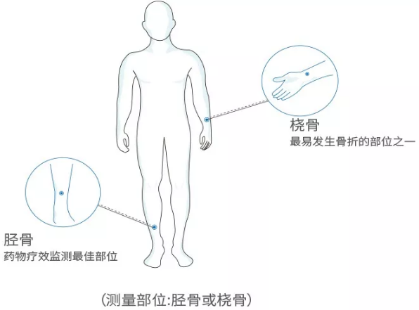 国产老年人超声波绿巨人视频app黄色官方下载分析仪厂家